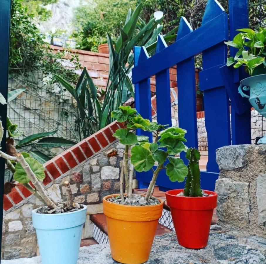 Vfh Villa Flavia Eco B&B - 50 Metri Dal Mare Santa Flavia Εξωτερικό φωτογραφία